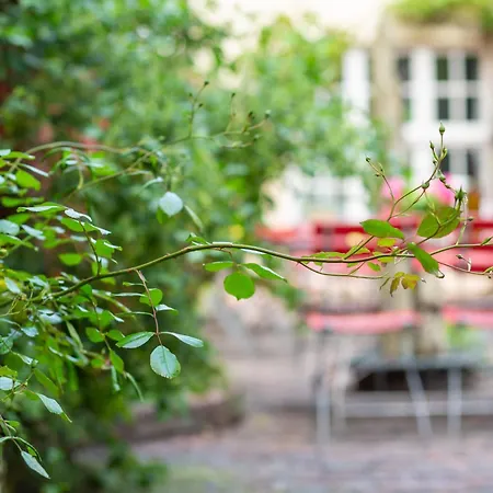 Πανσιόν Tafelfreuden 3*