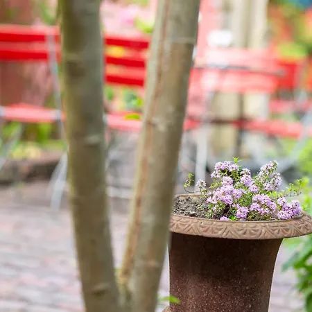 Tafelfreuden 3* Όλντεμπουργκ